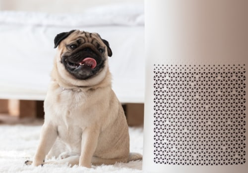 What are the Side Effects of a HEPA Air Purifier?